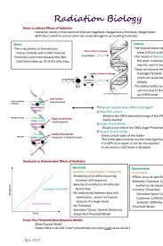 Rad Tech Exam Digital Cheat Sheets Buy